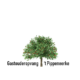 Gastouderopvang 't Pippeneerke - gastouder in Eijsden